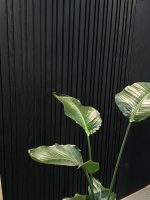 Akustinė tašelių plokštė Juoda BAR - Image 3